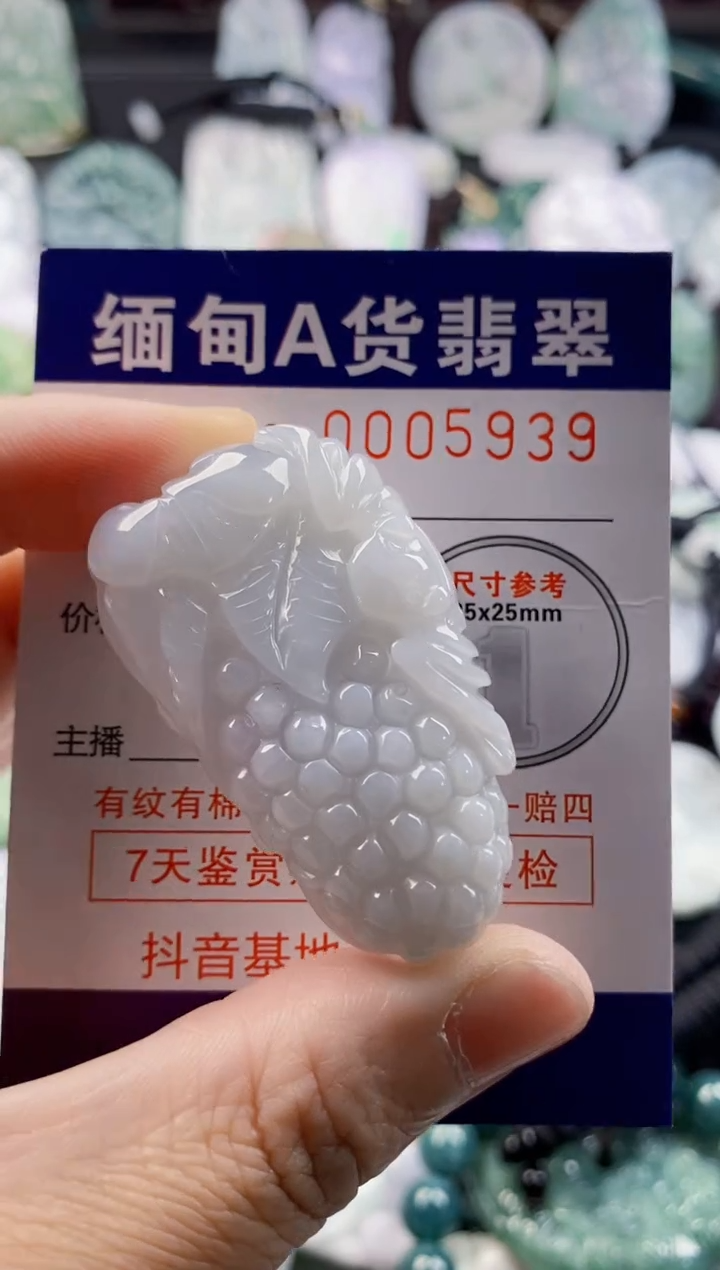 翡翠未镶嵌吊坠(不含链)1