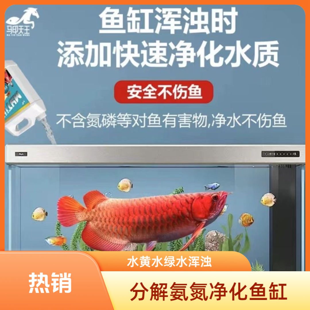 电解生物酶鱼缸澄清剂快速净化水质分解氨氮鱼便水发黄浑浊发绿