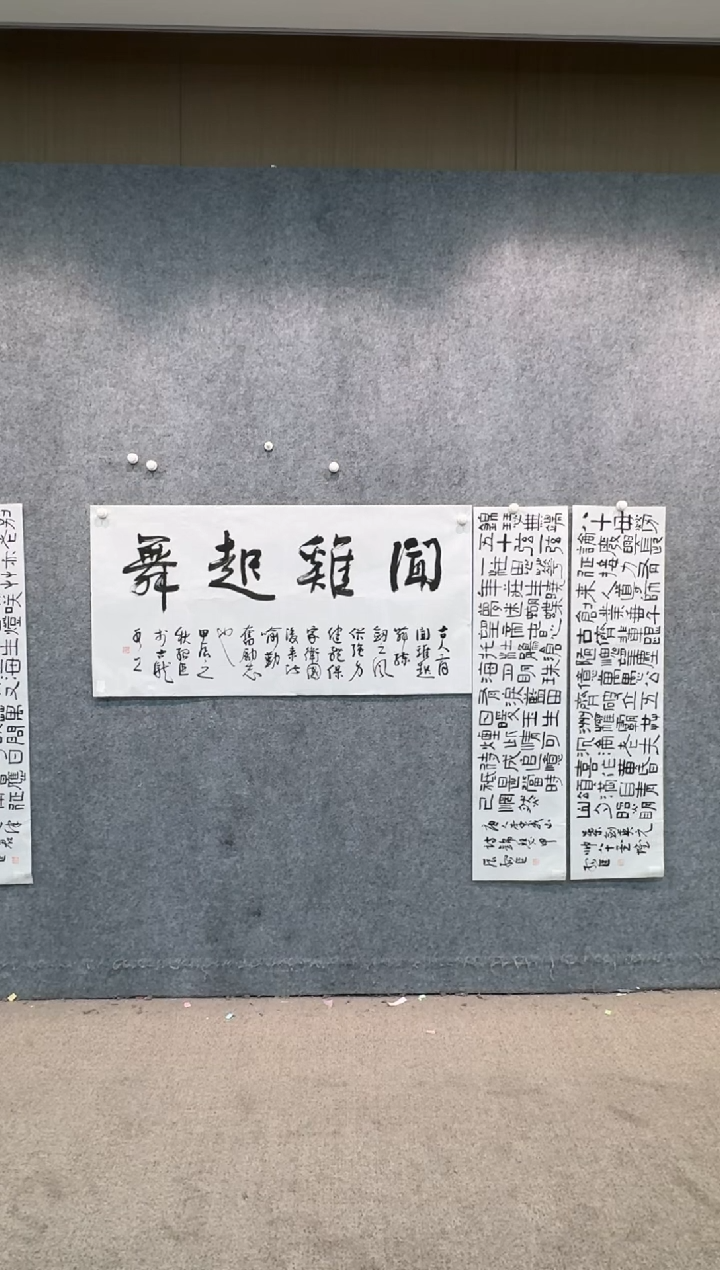 【闪购商品】书法pmw不二轩旗舰店书法SSC1