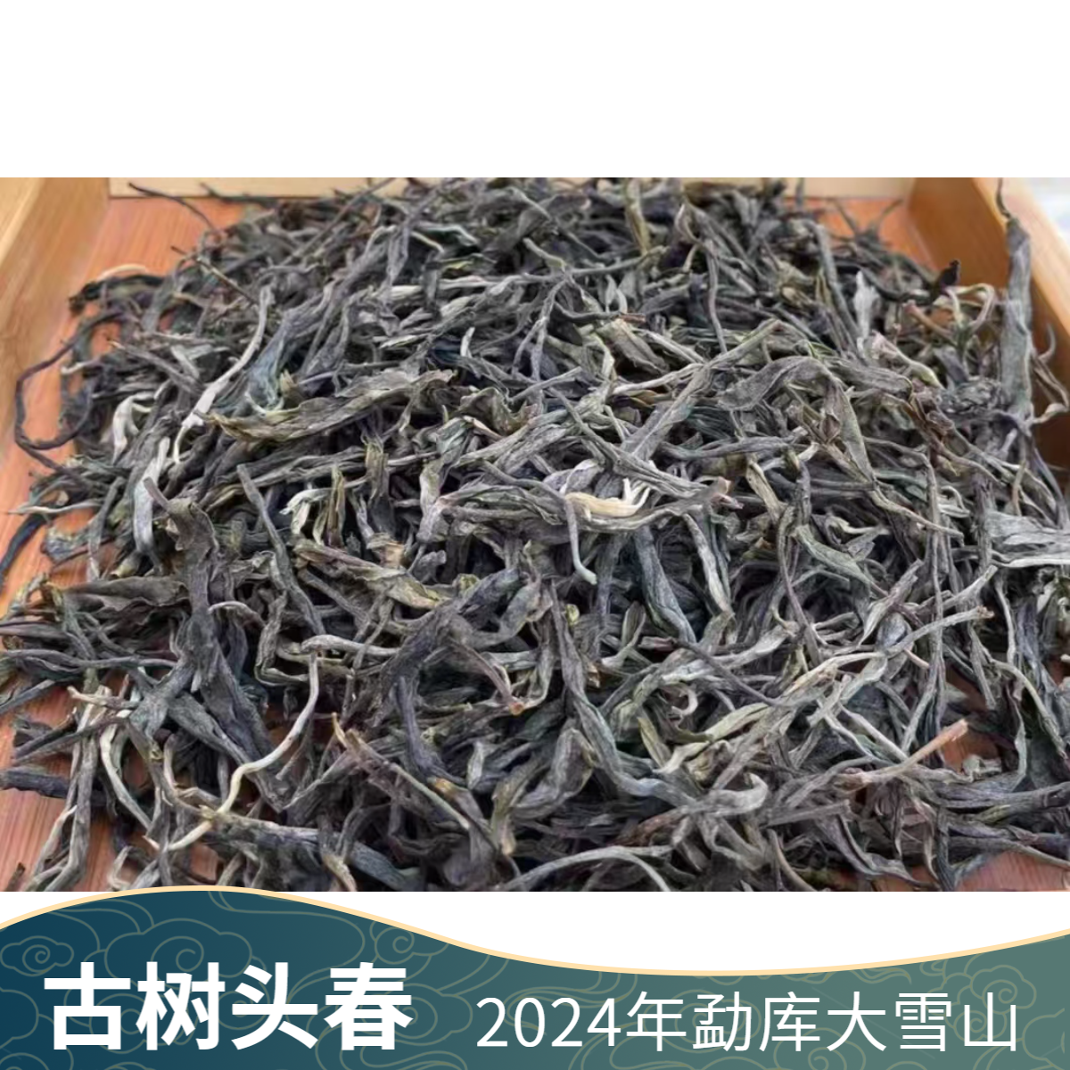 GS-2024年勐库大雪山古树头春生茶散料/普洱生茶散料