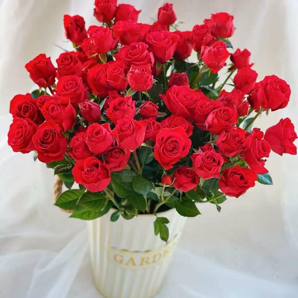 基地霓虹泡泡多头玫瑰鲜花基地直采直发2单顺丰包邮含保鲜剂