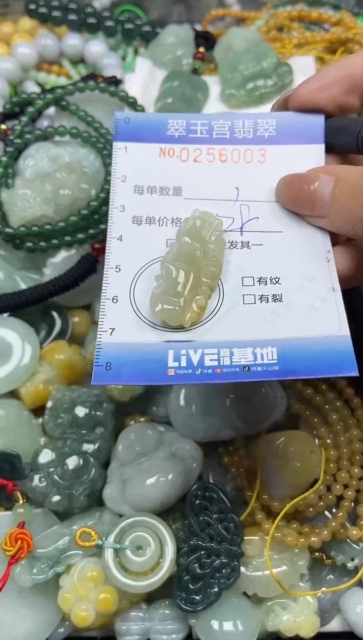 颈饰未镶嵌翡翠闪购C0256003