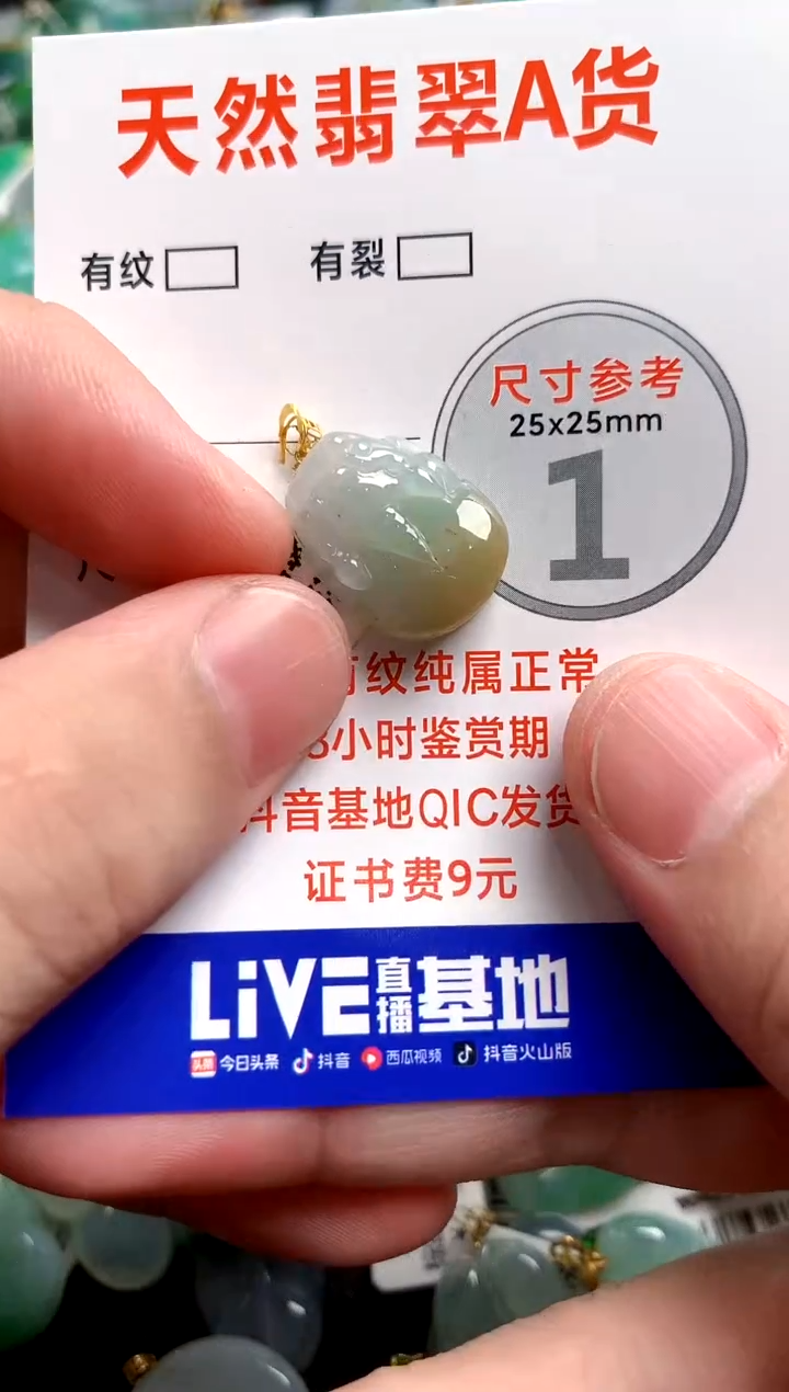 翡翠18K金镶嵌颈饰24000571