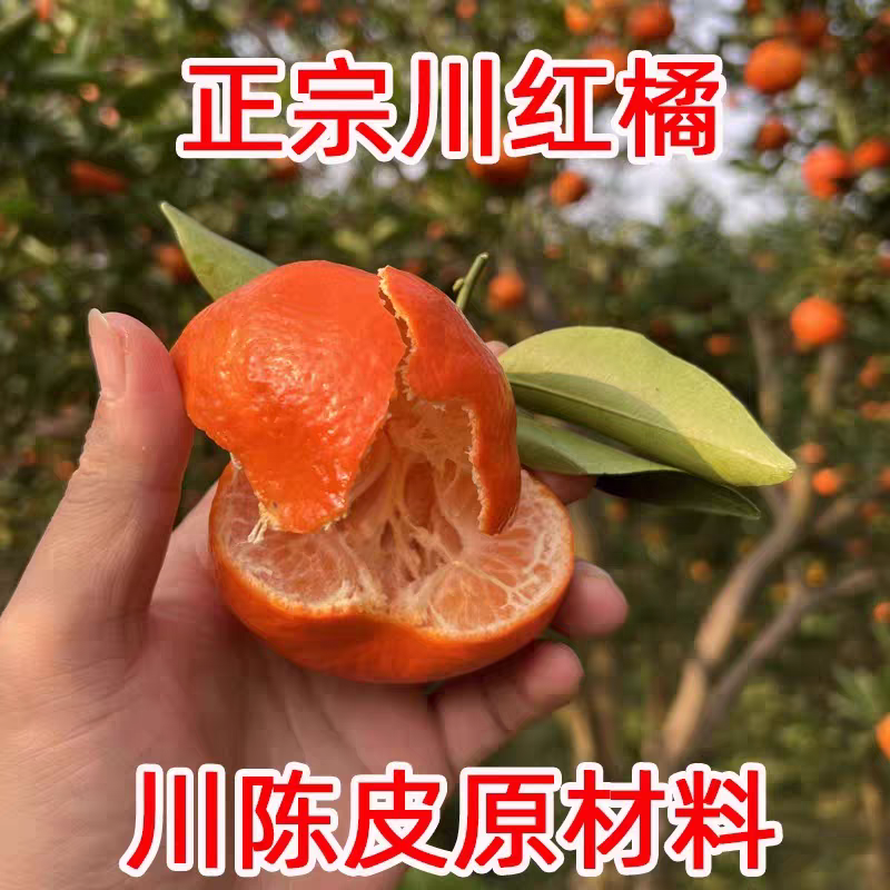 四川红橘大红袍万州古红桔新鲜水果川陈皮原料薄皮柑橘桔子