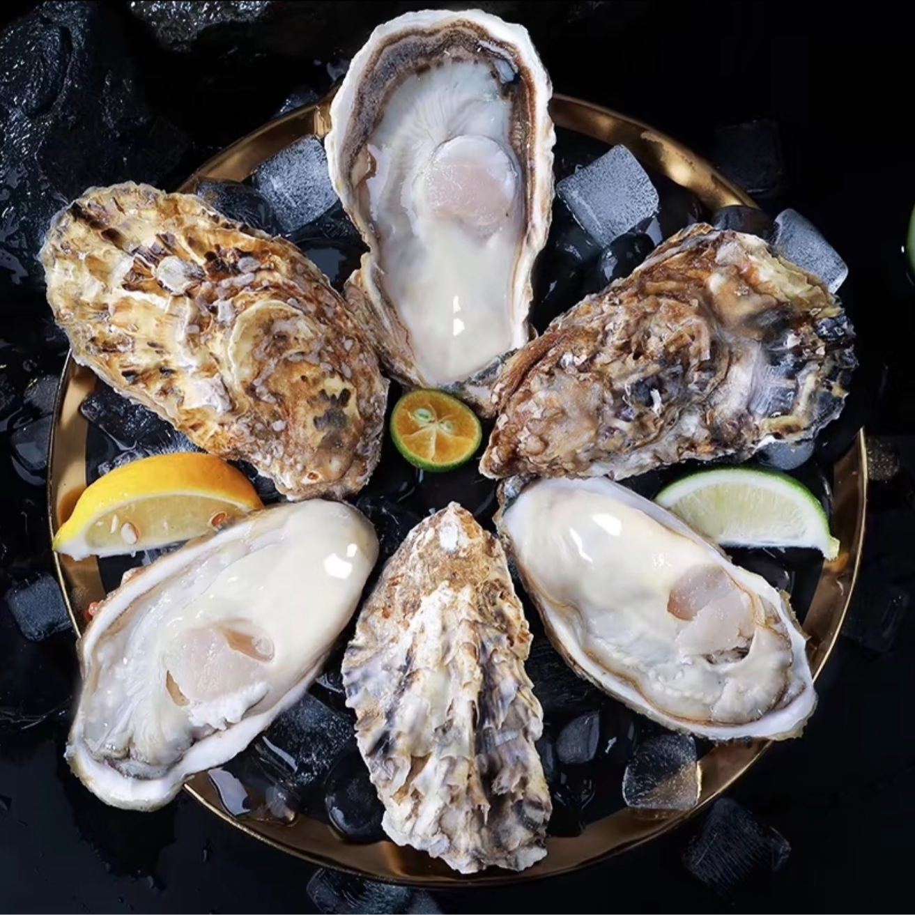 乳山生蚝5+          