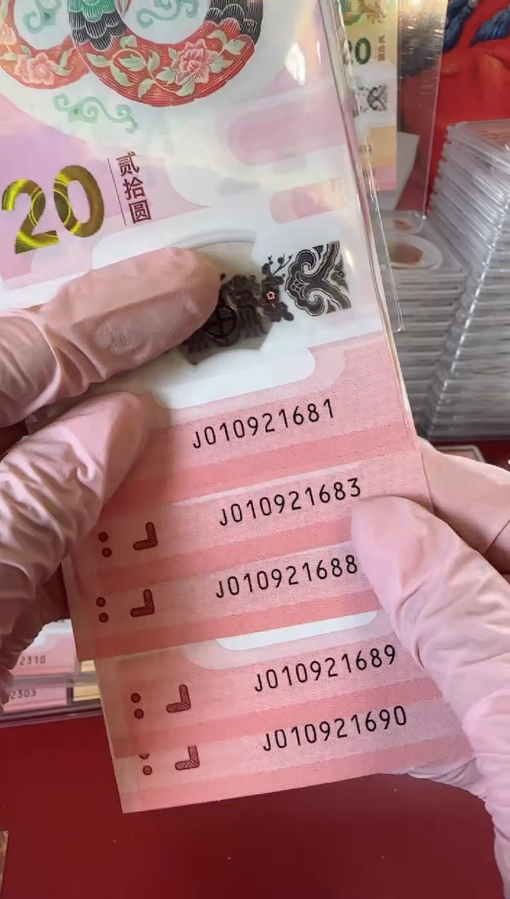 【闪购商品】塑料2025蛇钞 啊啊啊啊啊啊啊啊标十裸