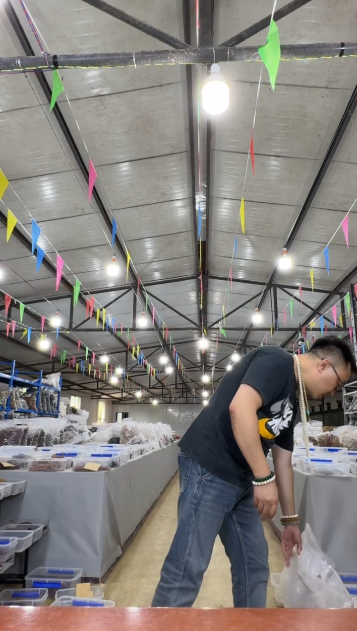 星月菩提吊坠Z30星月菩提