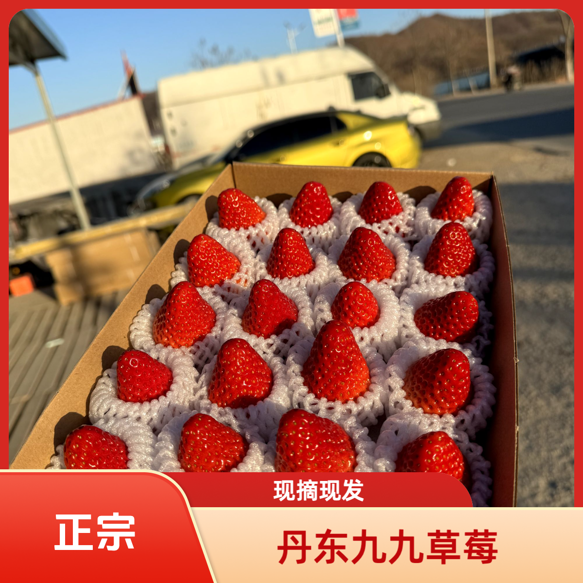 【正宗丹东九九红颜草莓】新鲜采摘香甜饱满产地直发全国包邮水果辽宁省