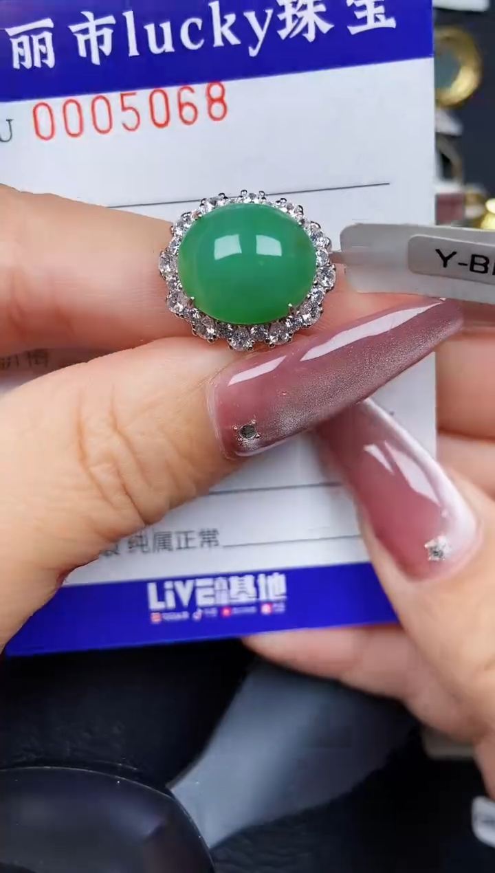 翡翠银S925镶嵌颈饰5068
