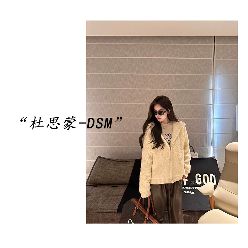 DSM-【米兰往事】韩国货！25秋冬韩系休闲舒适极简连帽外套1729 
