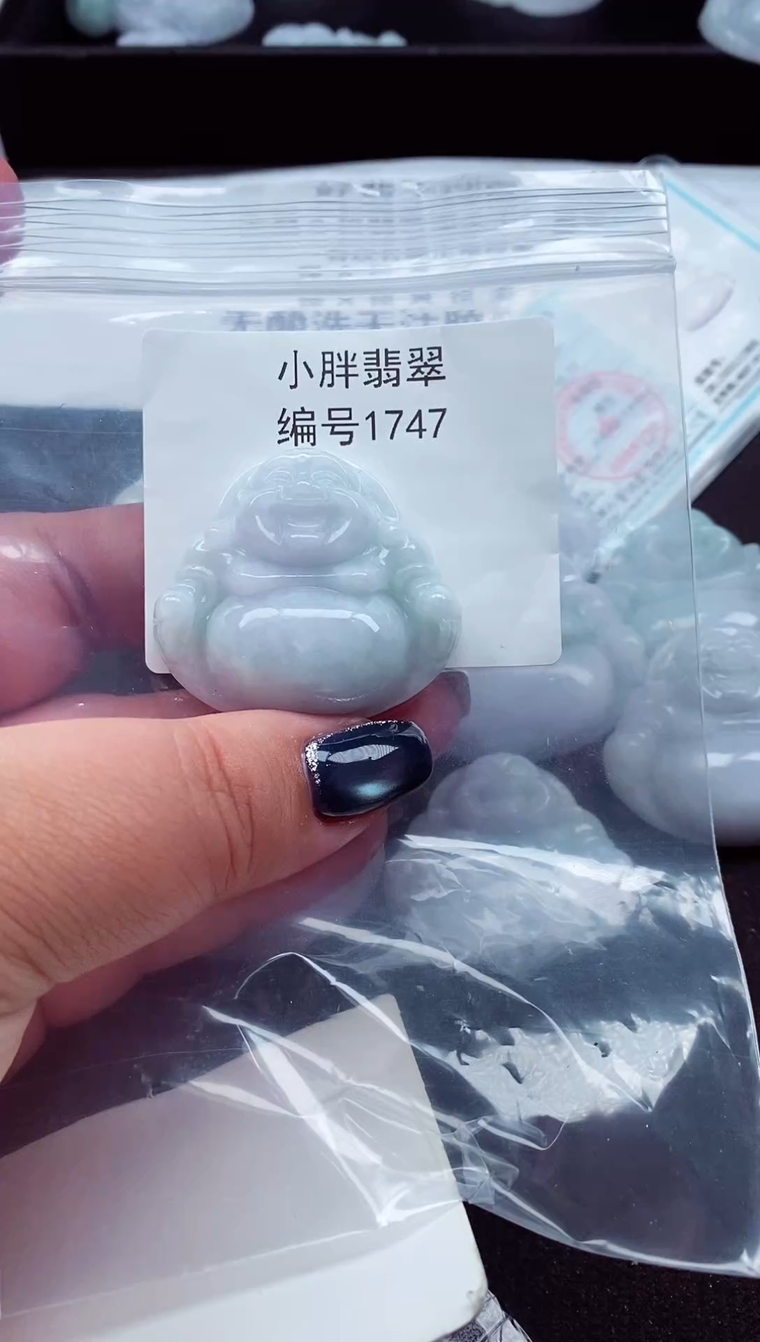 颈饰未镶嵌翡翠缅甸天然A货翡翠1747