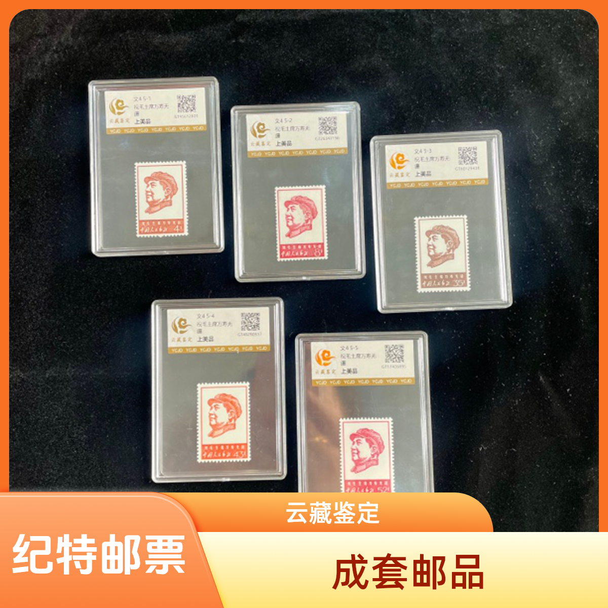 文4邮票（套票）万寿无疆云藏鉴定小盒上美品