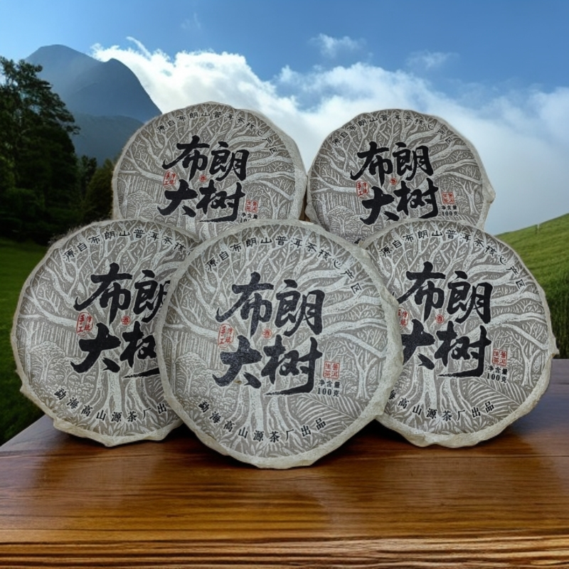 布朗大树500克（100克的5饼）2025年普洱生茶饼 回甘生津          