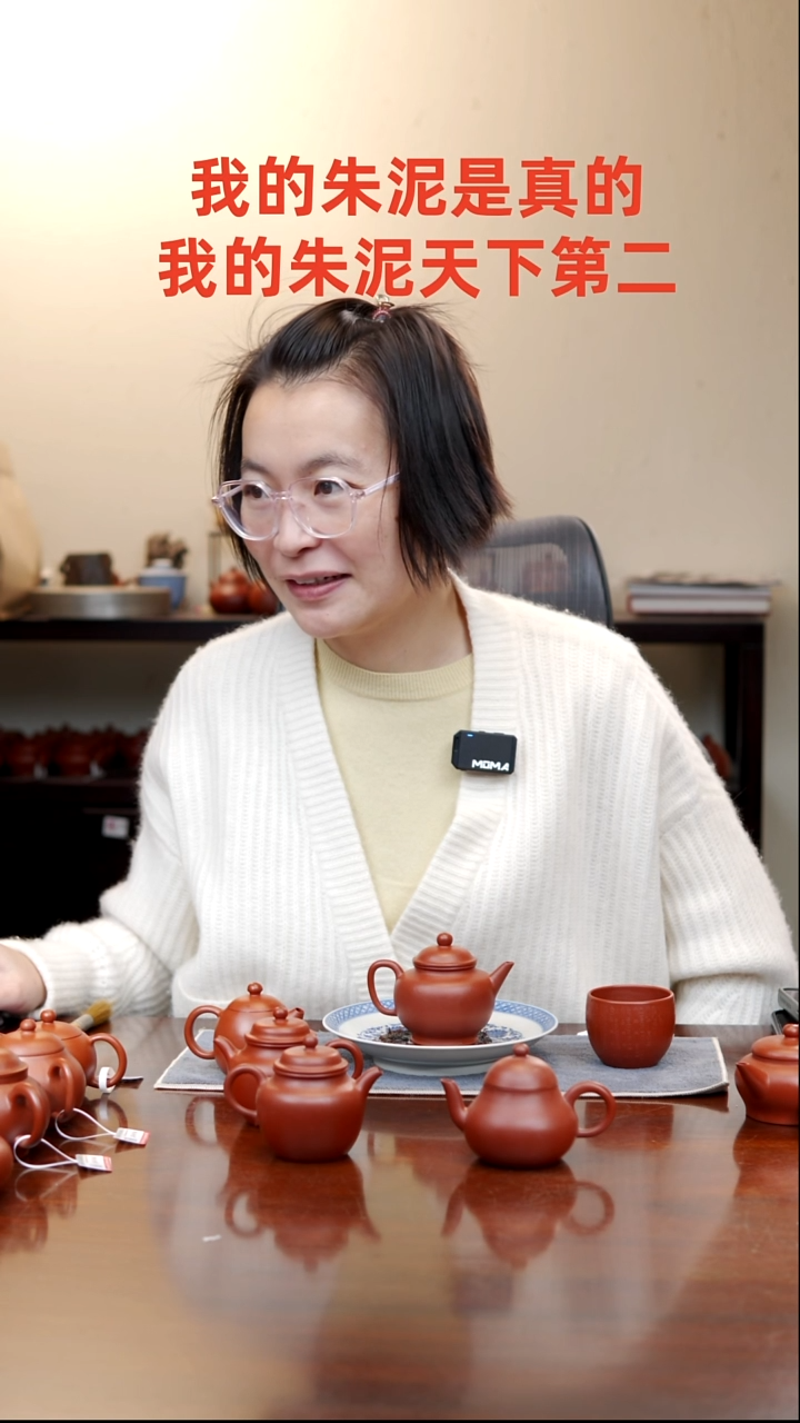 【闪购商品】紫砂茶壶11111111111111111111