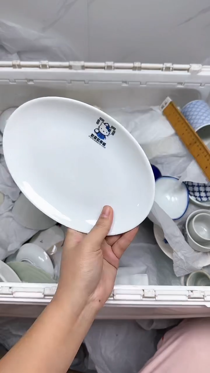 【闪购商品】495回流瓷器默认微瑕，18.8包邮