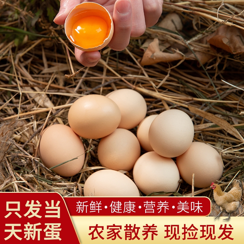 散养土鸡蛋50枚新鲜鸡蛋农家散养柴鸡蛋有机健康优质蛋天然虫草蛋