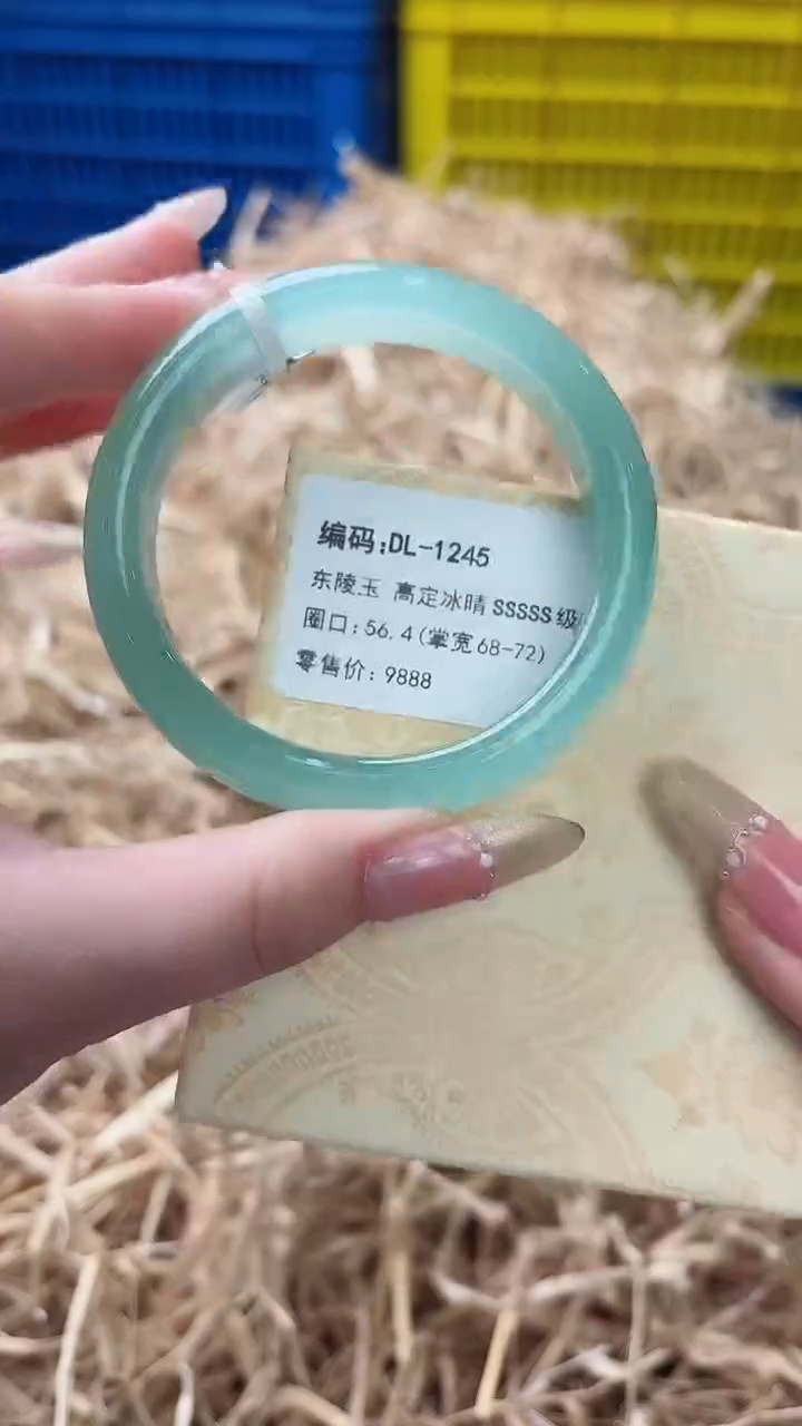 未镶嵌手镯石英质玉DL-1245