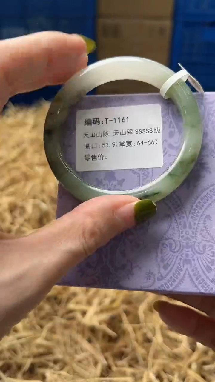 未镶嵌手镯石英质玉T1161