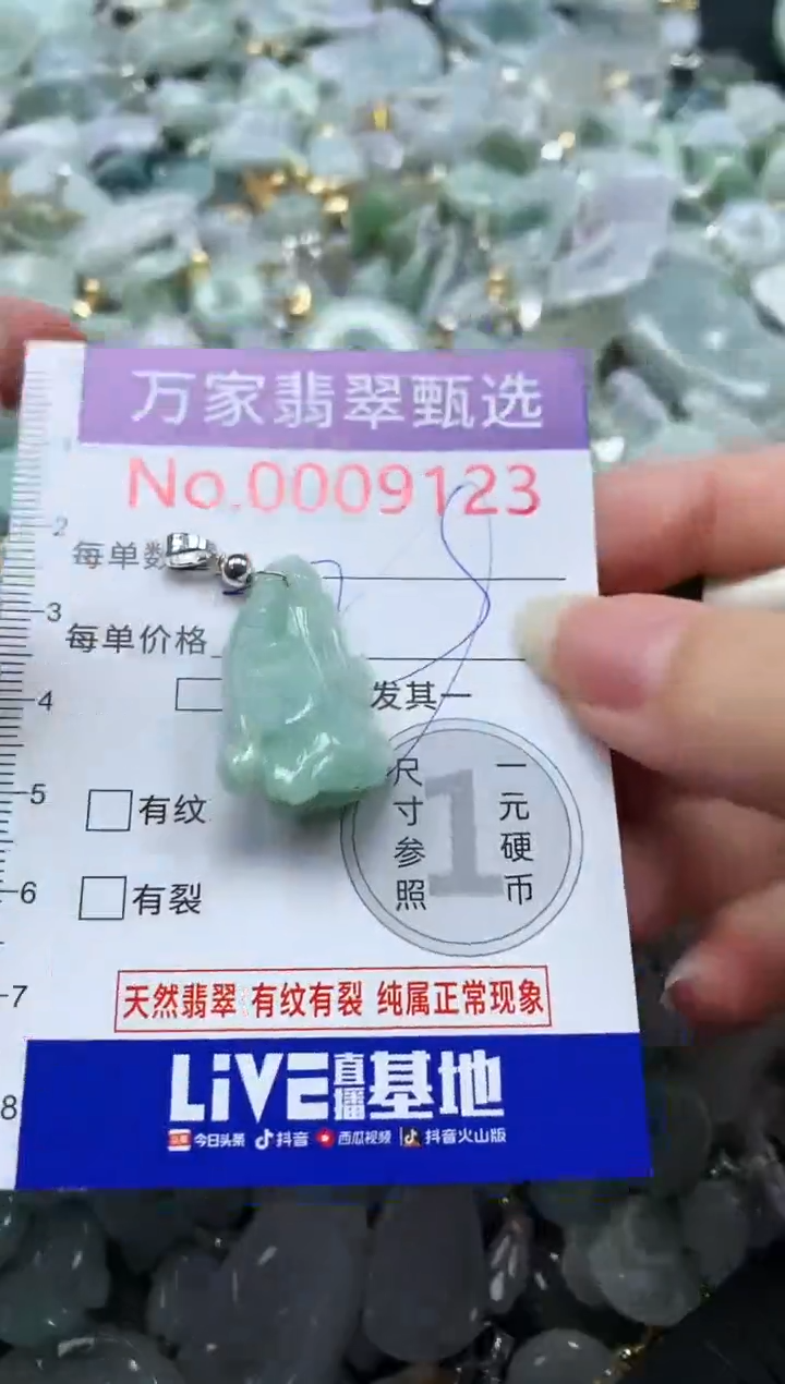 吊坠(不含链)未镶嵌翡翠9123