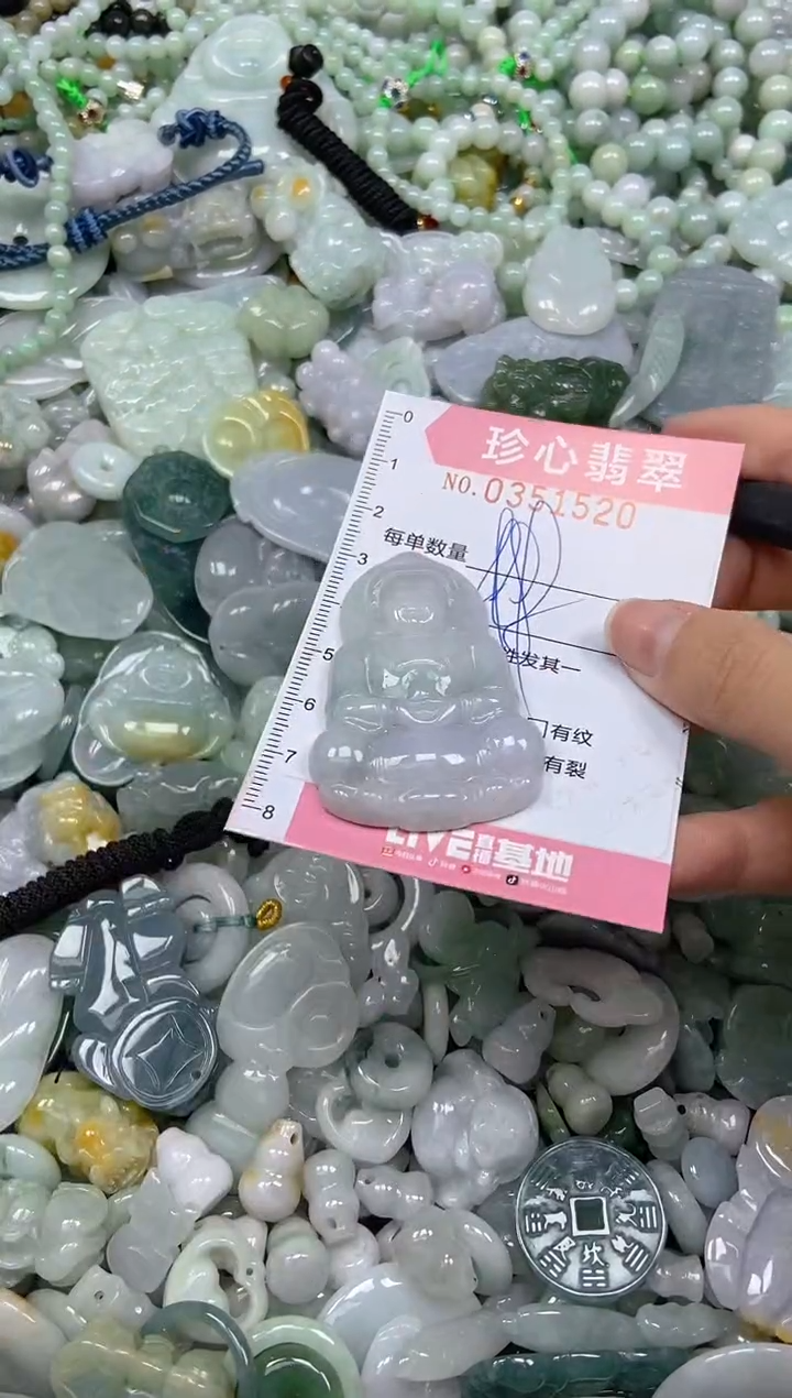 颈饰未镶嵌翡翠闪购0351520