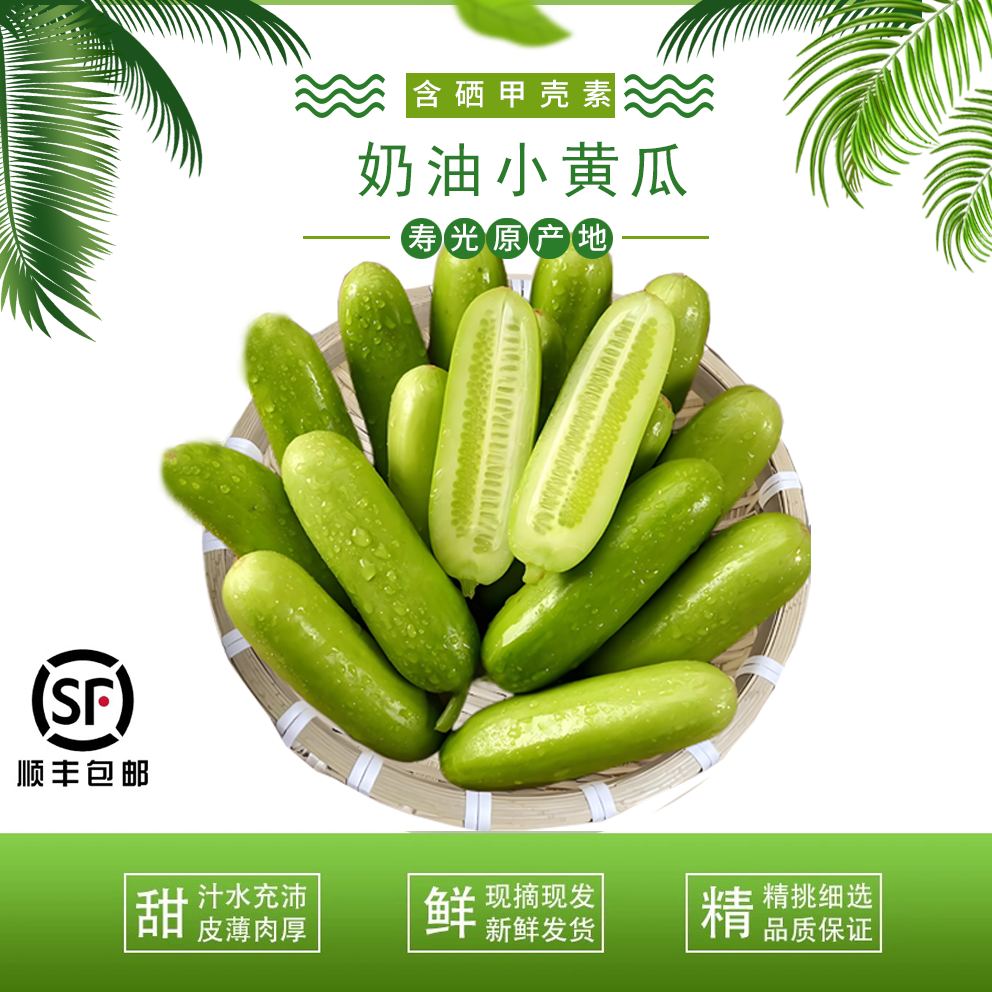 寿光含硒甲壳素奶油小黄瓜新鲜现摘顺丰包邮