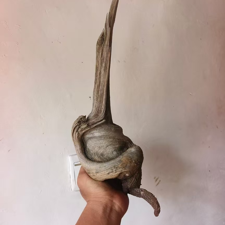 太行陈化毛料摆件手把件