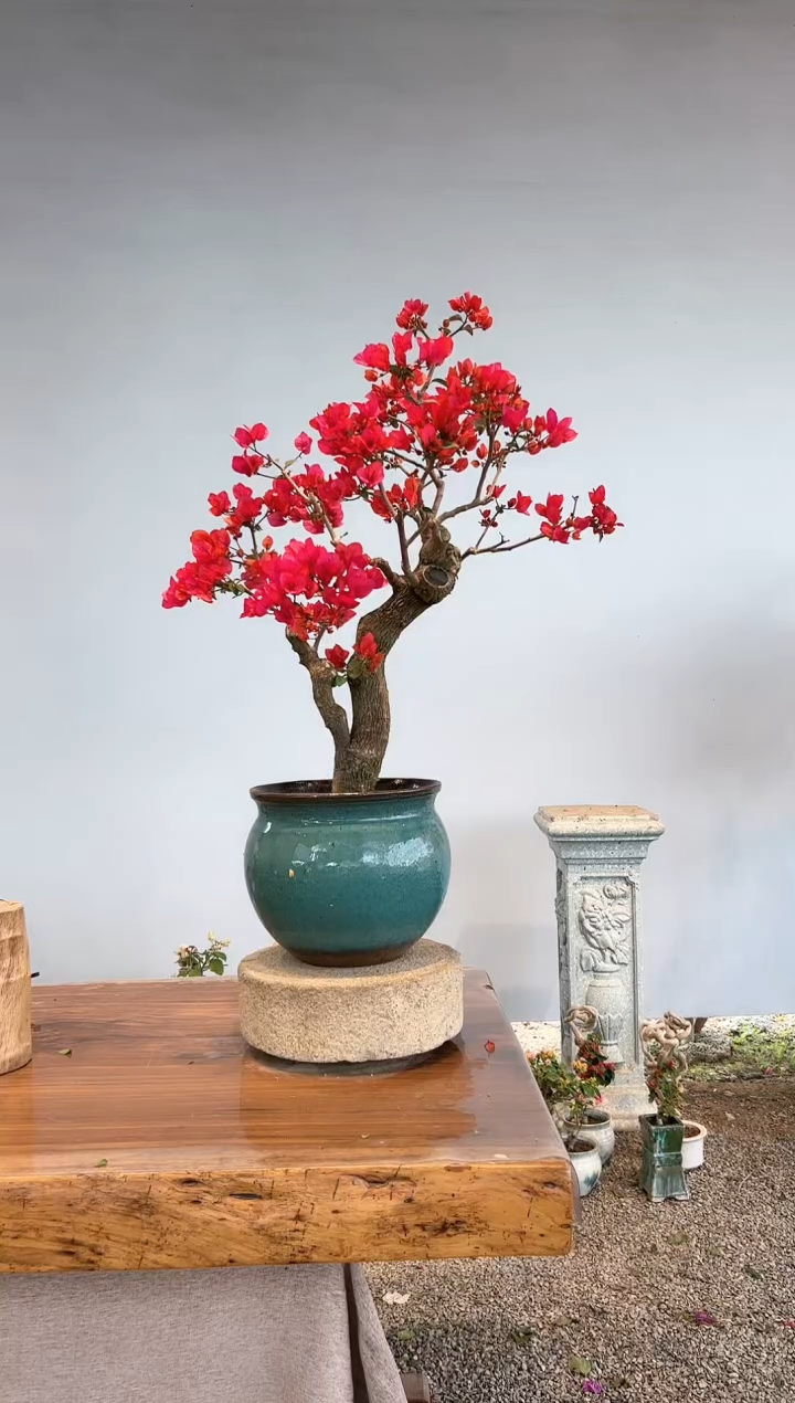 【闪购商品】aa908