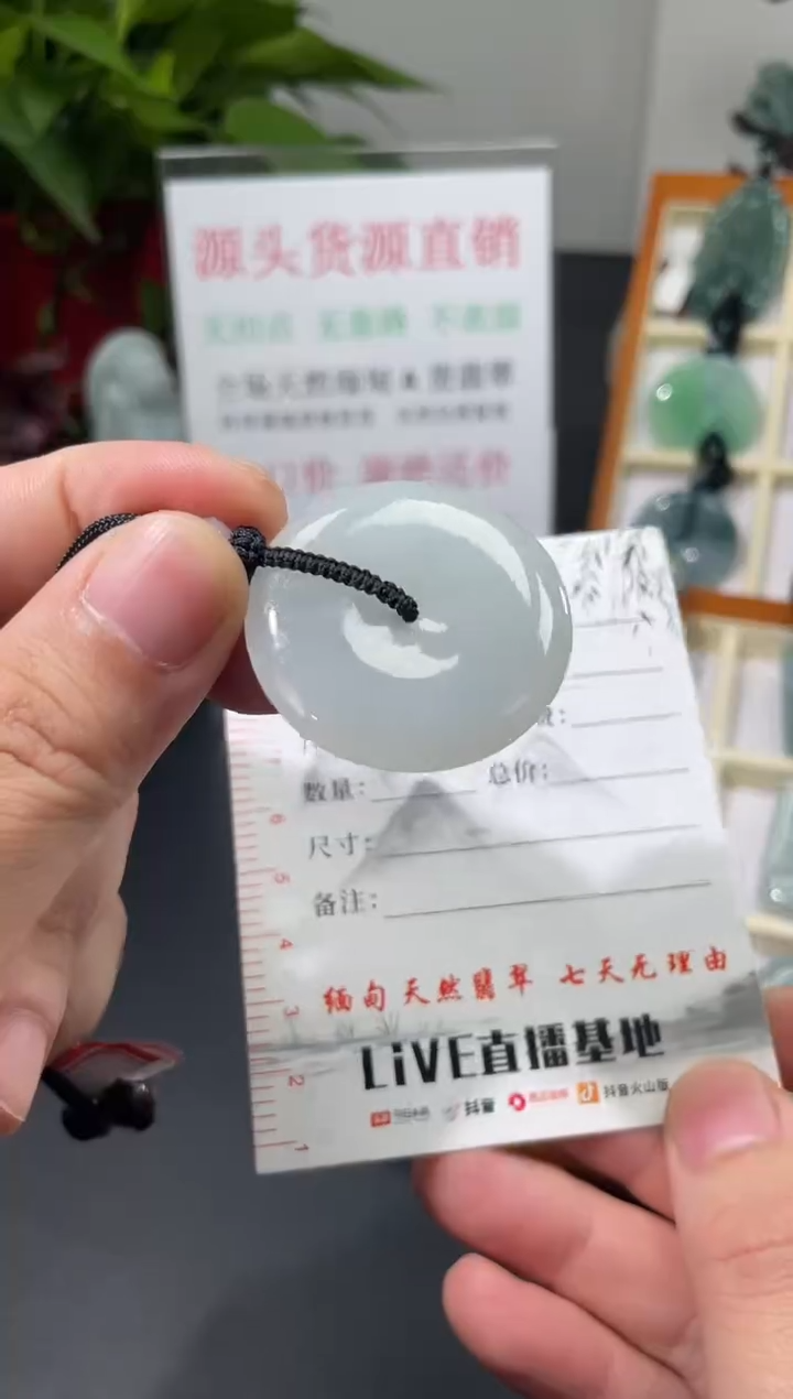 【闪购商品】翡翠颈饰未镶嵌平安扣