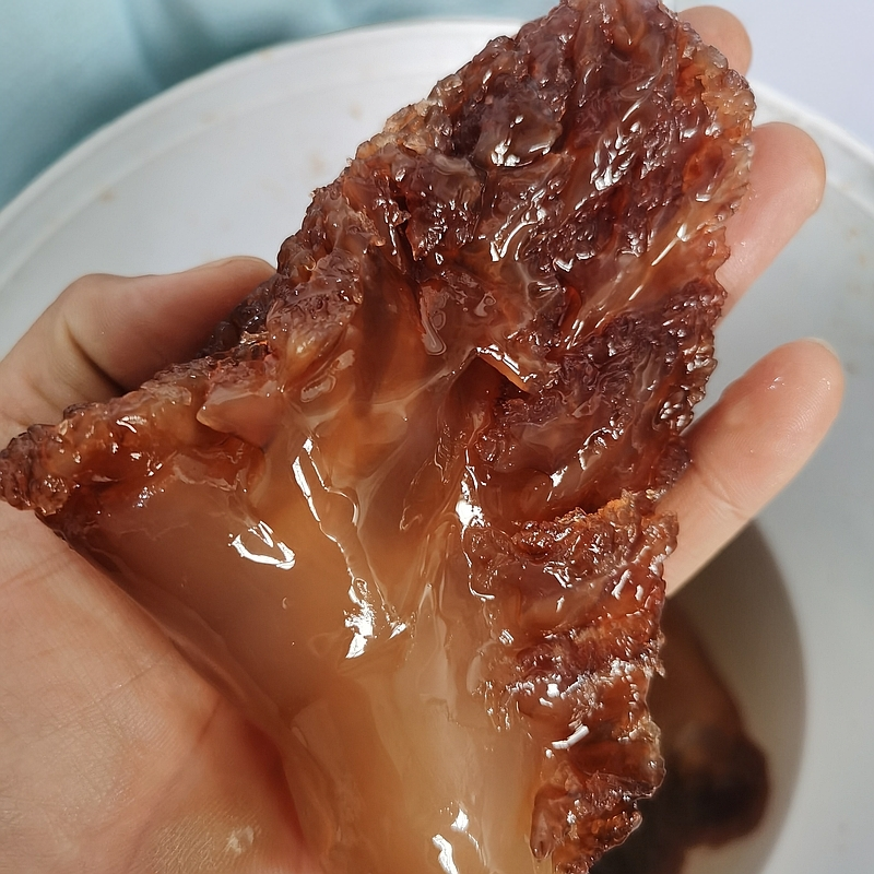 （海蜇弟）野生特大海蜇角2025新货