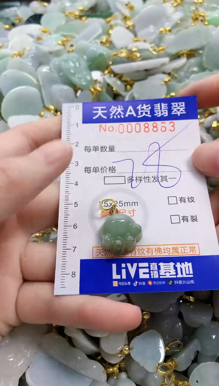 颈饰未镶嵌翡翠天然A货翡翠