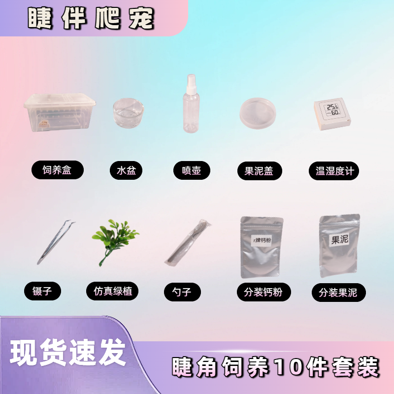 守宫睫角实用饲养套盒满足日常饲养需求