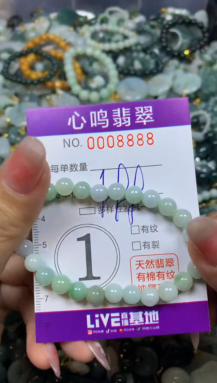 【闪购商品】翡翠颈饰未镶嵌闪购008888