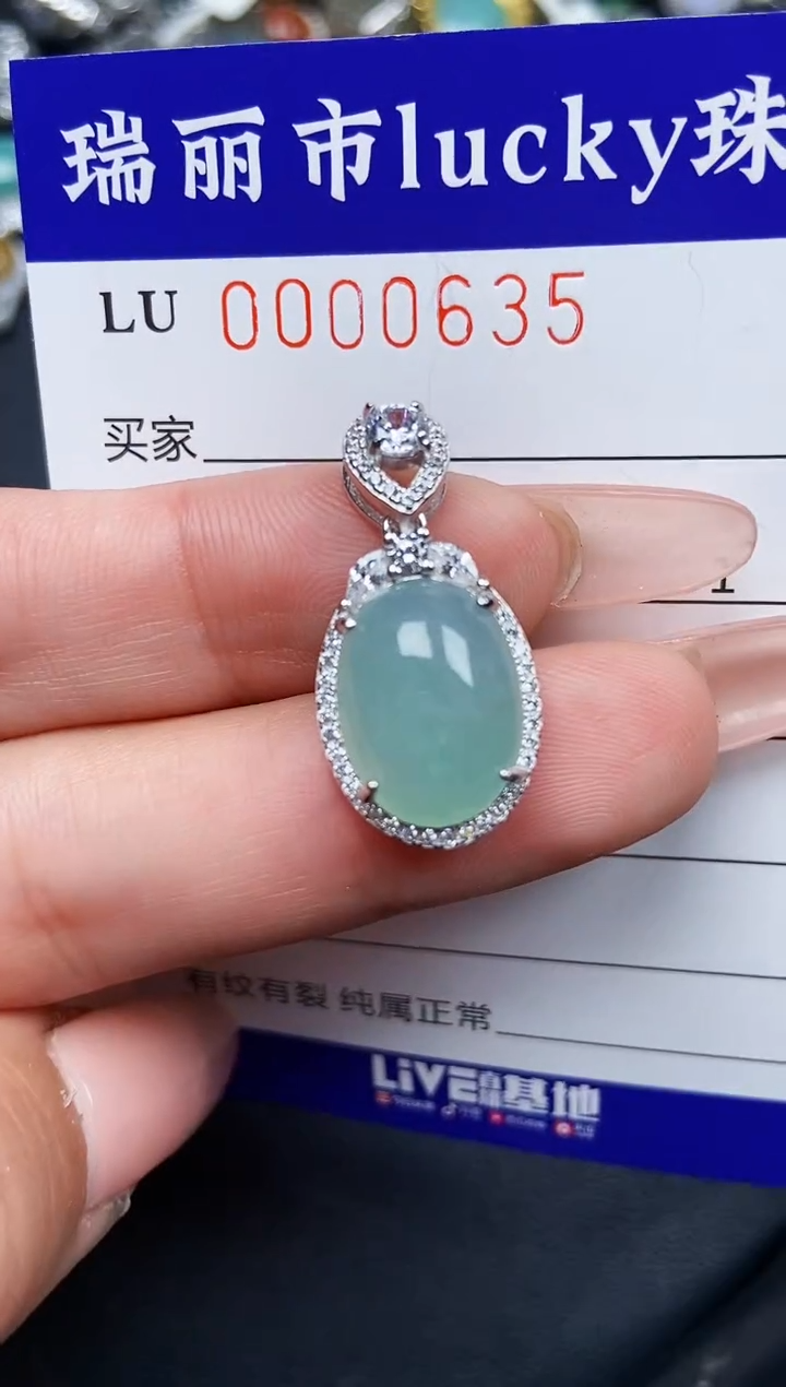 【闪购商品】翡翠颈饰银S925镶嵌0635