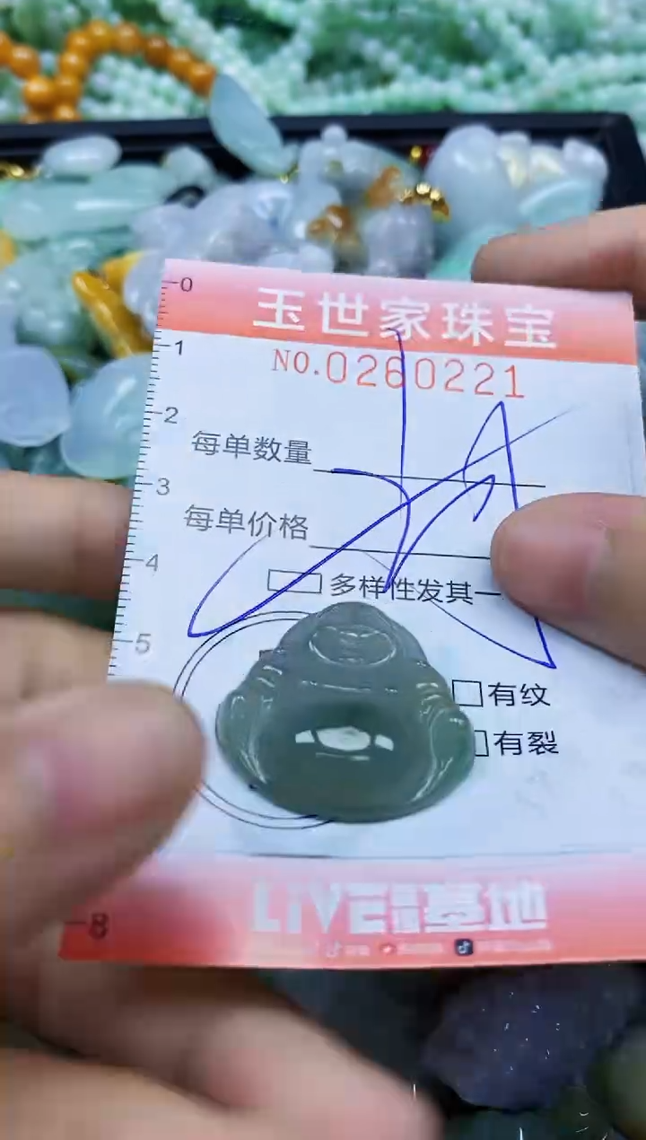 翡翠未镶嵌颈饰闪购0260221多样性发其一