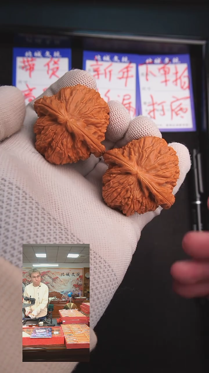 【闪购商品】文玩核桃把件37号45白狮子  修尖已打底