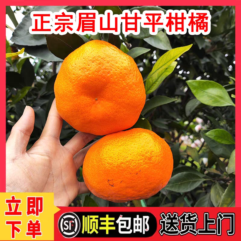 【顺丰包邮】四川甘平柑橘皇后当季新鲜孕妇水果现摘现发非耙耙柑