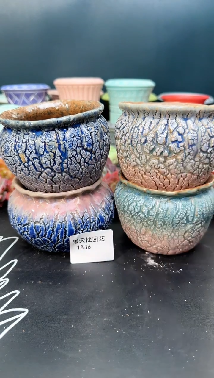 18 86 爆裂盆4个 默认微瑕