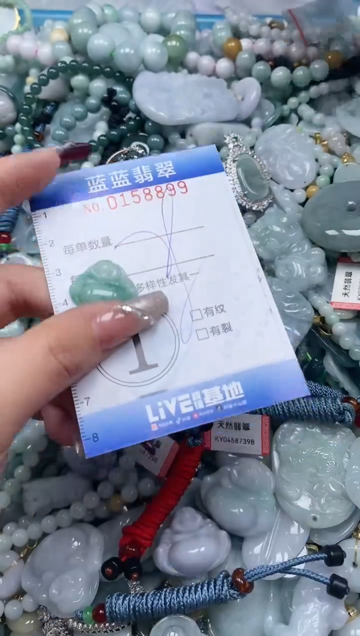 【闪购商品】翡翠颈饰未镶嵌闪购0158899