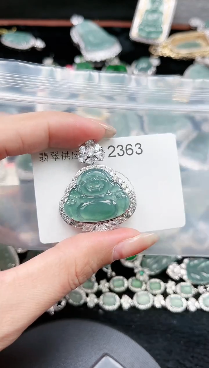 【闪购商品】翡翠颈饰未镶嵌赠皮绳2363