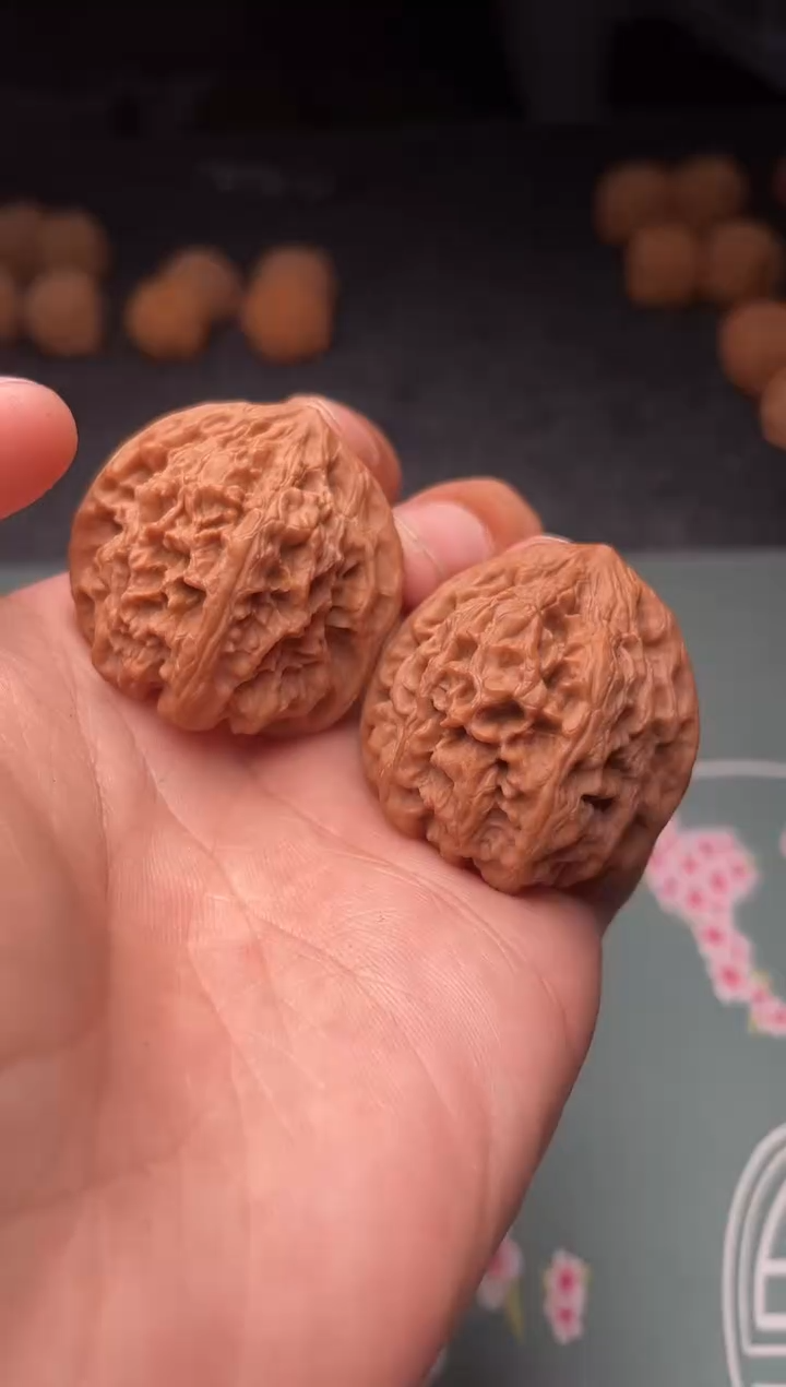 核桃a311  野牛   36尺