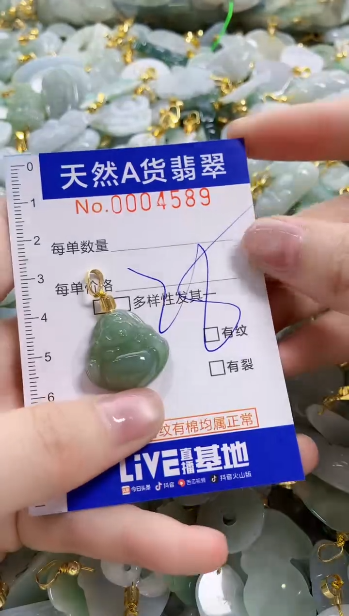颈饰未镶嵌翡翠天然A货翡翠
