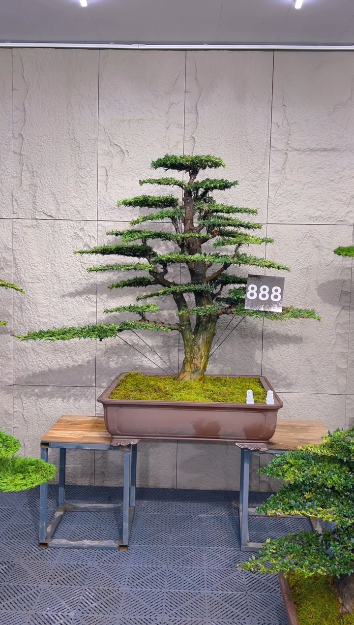【闪购商品】一物一拍一物一拍