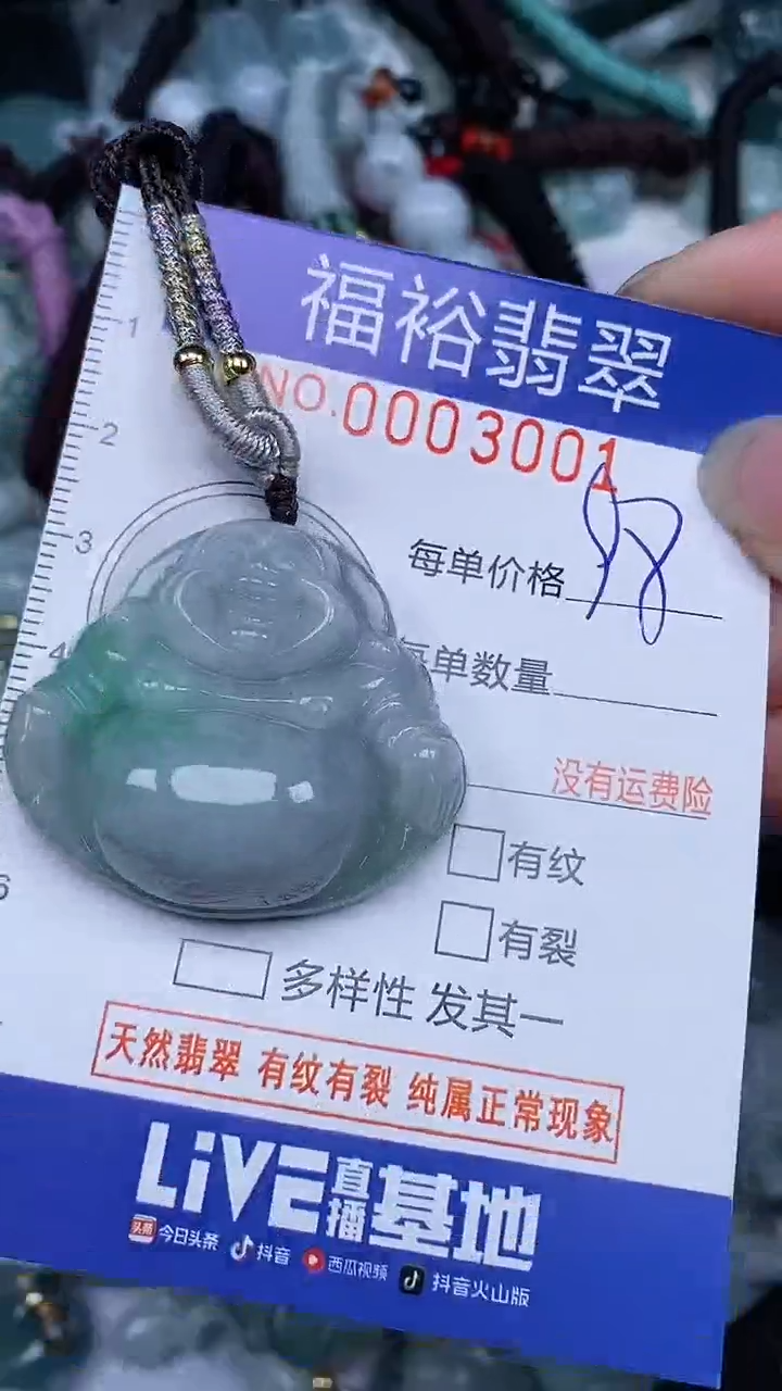 翡翠未镶嵌颈饰...0003001