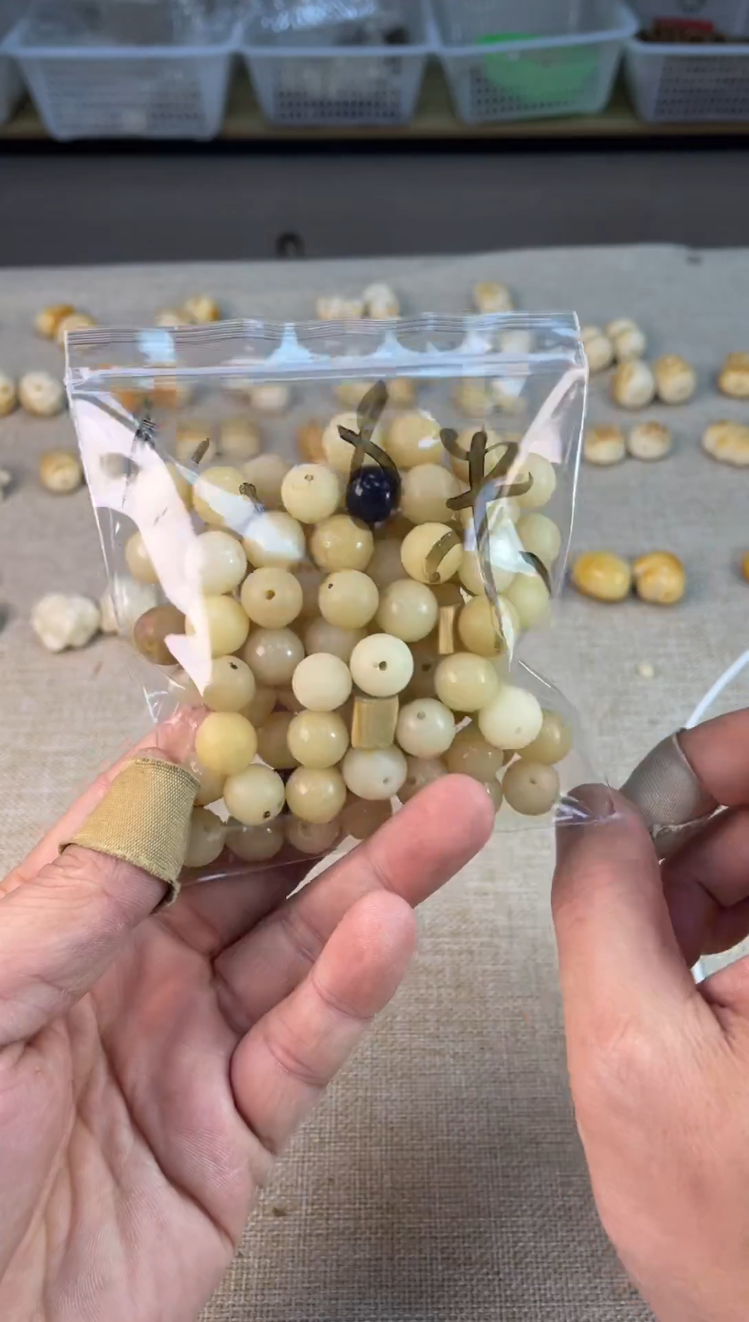 手串菩提根/象牙果01