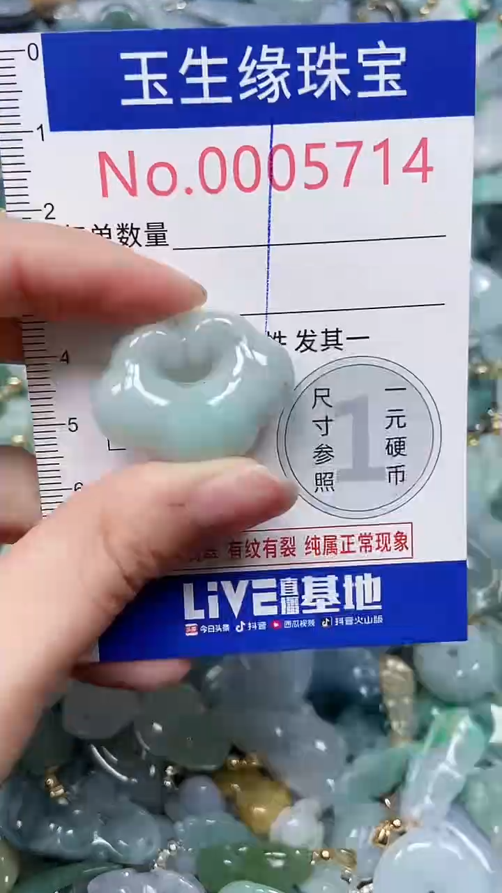 【闪购商品】翡翠颈饰未镶嵌闪购00005714