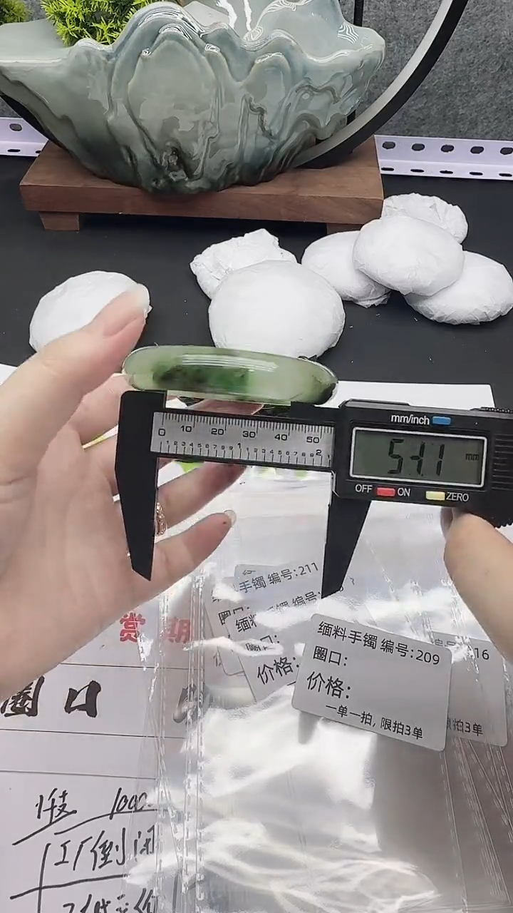 所见即所得！拍啥是啥！209