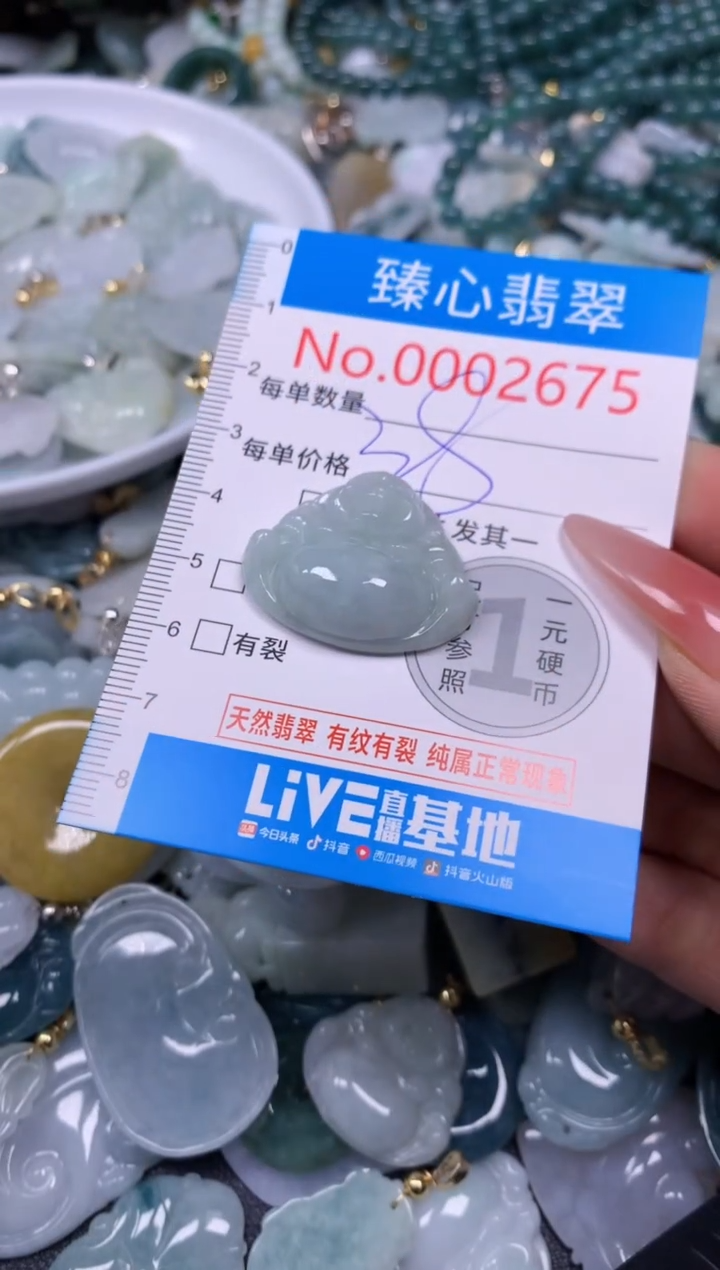 【闪购商品】翡翠颈饰未镶嵌含绳0002675