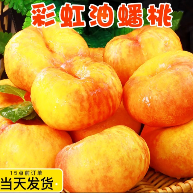 【今拍明到】蒙阴彩虹油蟠水果油蟠桃蜜甜口感多汁爆甜山东省当季新鲜水果桃子山东省桃子同城送