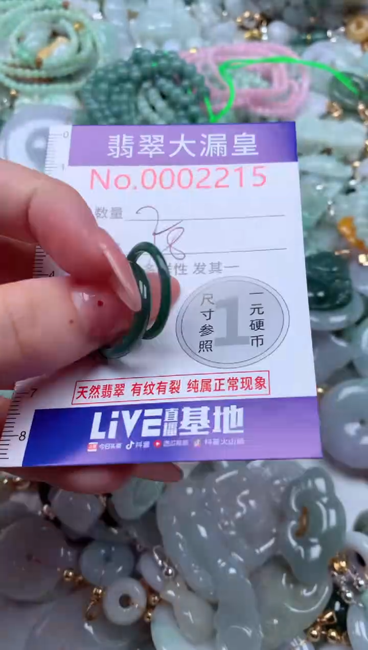 翡翠未镶嵌吊坠(不含链)215