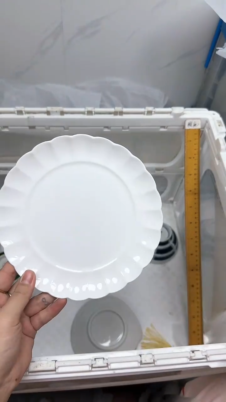 【闪购商品】689回流瓷器默认微瑕，18.8包邮